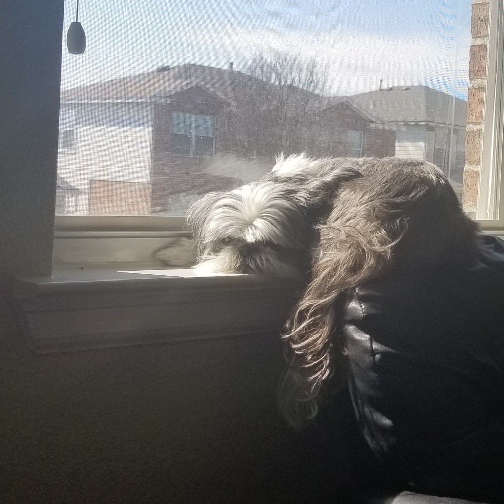 Meet your Posher, Kayla